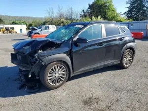 Hyundai Kona 2.0L 4 2020