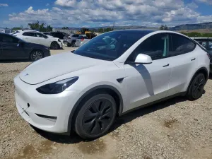 Tesla Model Y 2024