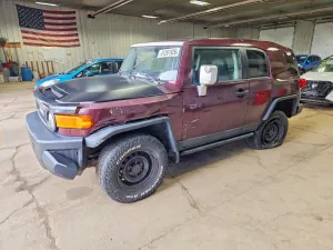 Toyota FJ Cruiser 4.0L 6 2007
