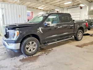 Ford F-150 3.5L 6 2021