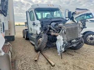 Freightliner Cascadia 14.8L 6 2015