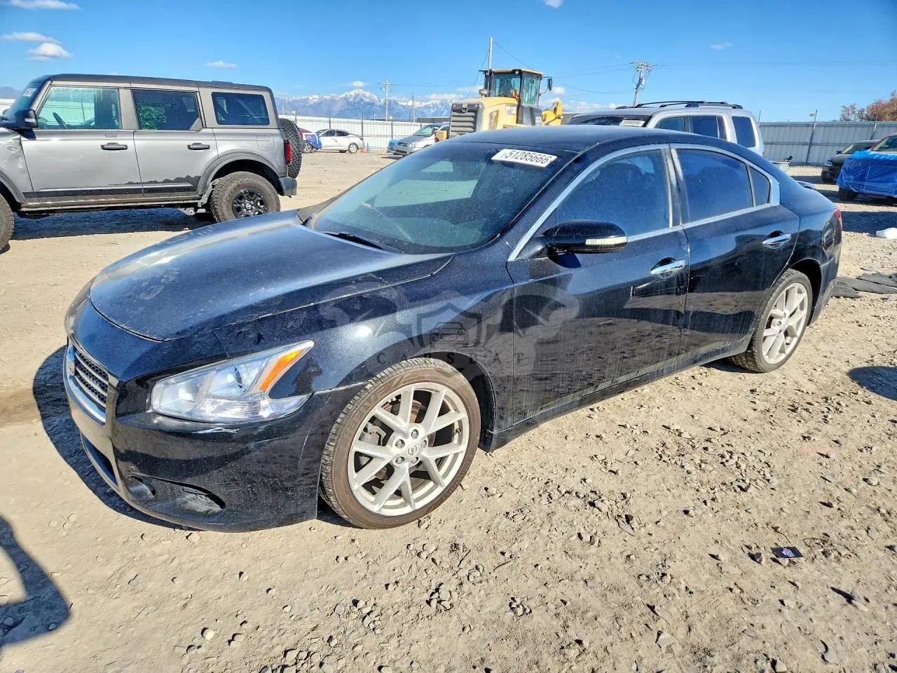 Nissan Maxima 3.5L 6 2009