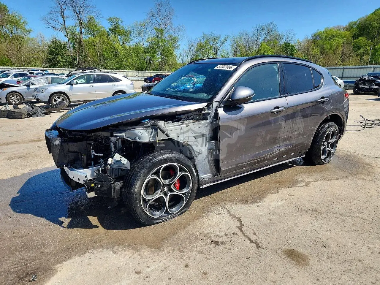 Alfa Romeo Stelvio 2.0L 4 2023