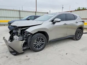 Lexus NX 2.4L 4 2024