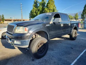 Ford F-150 5.4L 8 2004