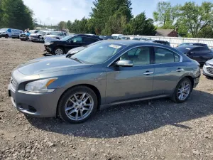 Nissan Maxima 3.5L 6 2010