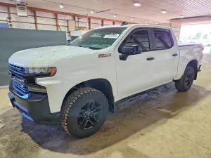 Chevrolet Silverado 1500 5.3L 8 2019