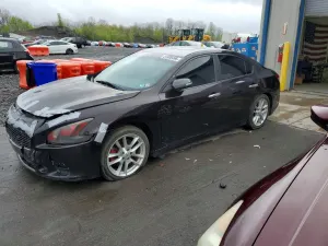 Nissan Maxima 3.5L 6 2010