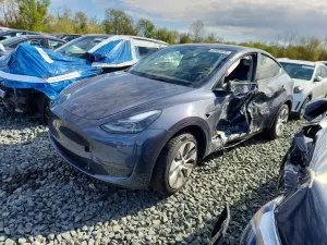 Tesla Model Y 2023