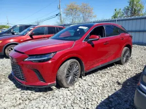Lexus RX 2.4L 4 2024
