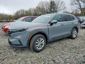 Honda CR-V 1.5L 4 2025