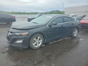 Chevrolet Malibu 1.5L 4 2019