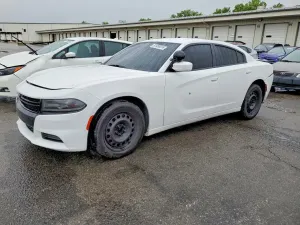 Dodge Charger 5.7L 8 2020