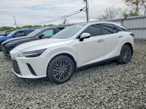 Lexus RX 2.4L 4 2024