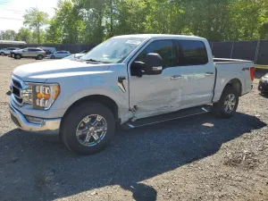 Ford F-150 5.0L 8 2022