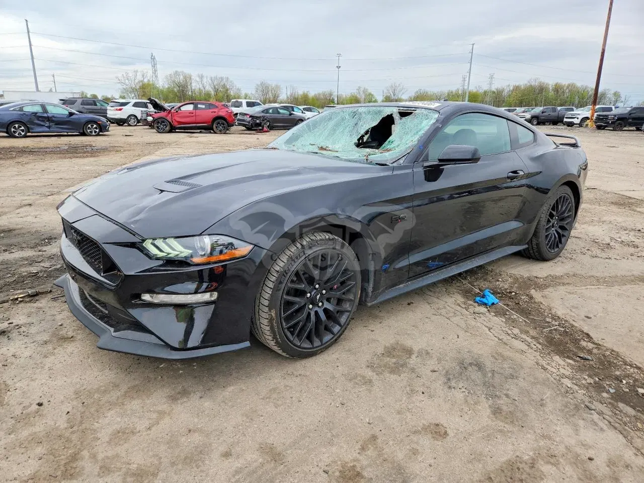 Ford Mustang 5.0L 8 2022