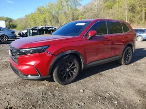 Honda CR-V 1.5L 4 2025