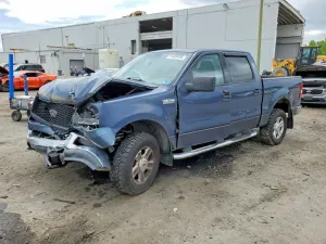 Ford F-150 5.4L 8 2004