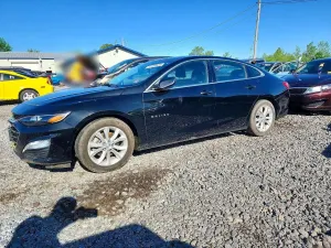Chevrolet Malibu 1.5L 4 2019