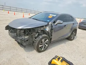 Lexus NX 2.0L 4 2020