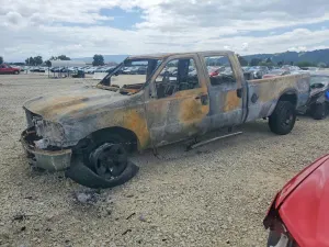 Ford F-250 6.0L 8 2005
