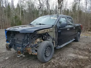 Ford F-150 5.0L 8 2016