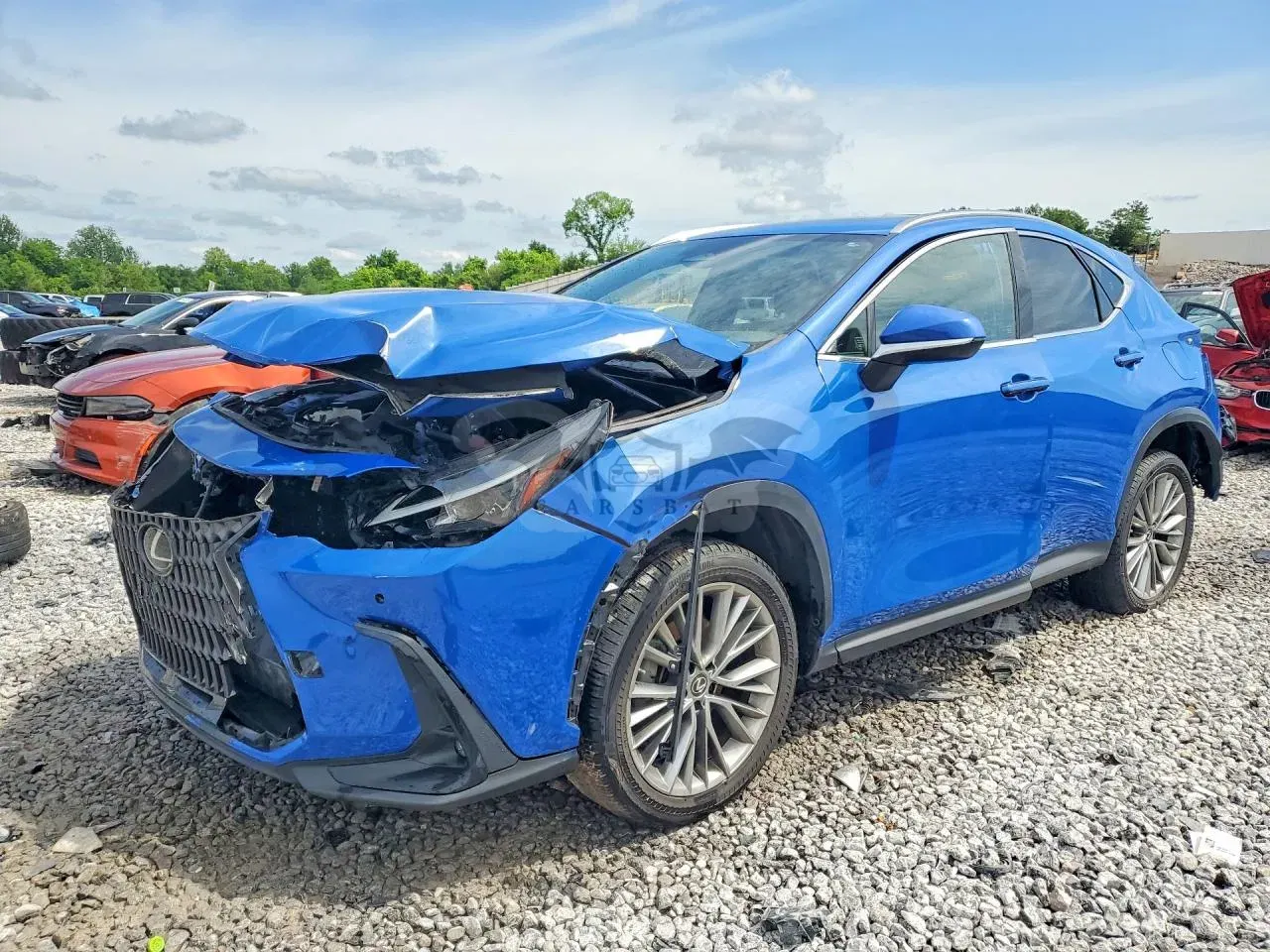 Lexus NX 2.4L 4 2022