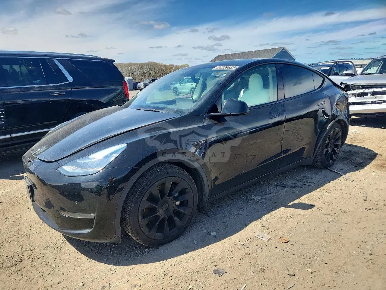 Tesla Model Y 2021