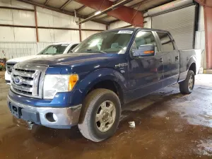 Ford F-150 4.6L 8 2010