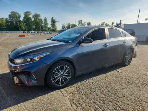 Kia Cerato / Forte / K3 2.0L 4 2022