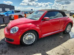Volkswagen Beetle 1.8L 4 2014