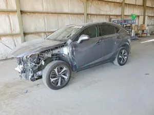 Lexus NX 2.0L 4 2021