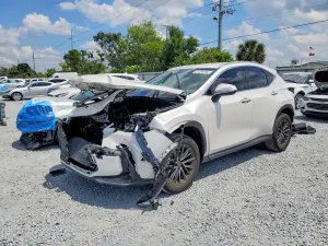 Lexus NX 2.5L 4 2025