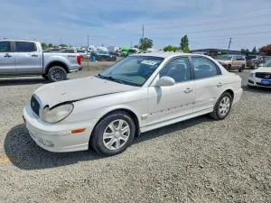 Hyundai Sonata 2.4L 4 2002