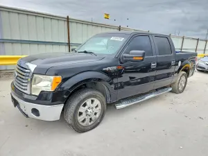 Ford F-150 4.6L 8 2010
