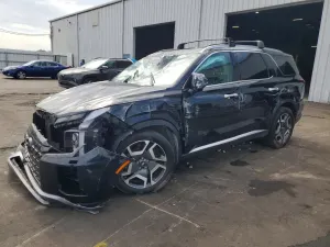 Hyundai Palisade 3.8L 6 2024