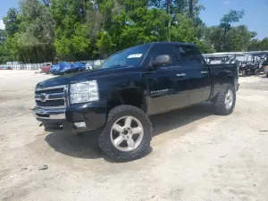 Chevrolet Silverado 1500 5.3L 8 2009