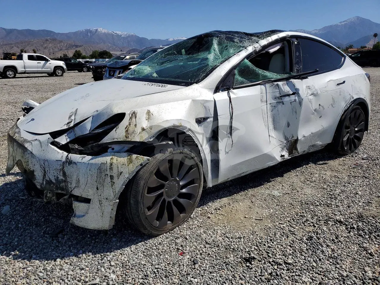 Tesla Model Y 2024
