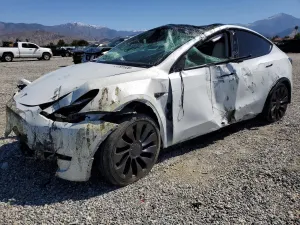 Tesla Model Y 2024