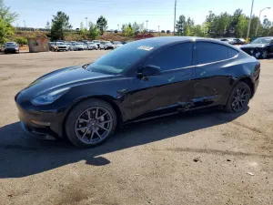 Tesla Model 3 2019
