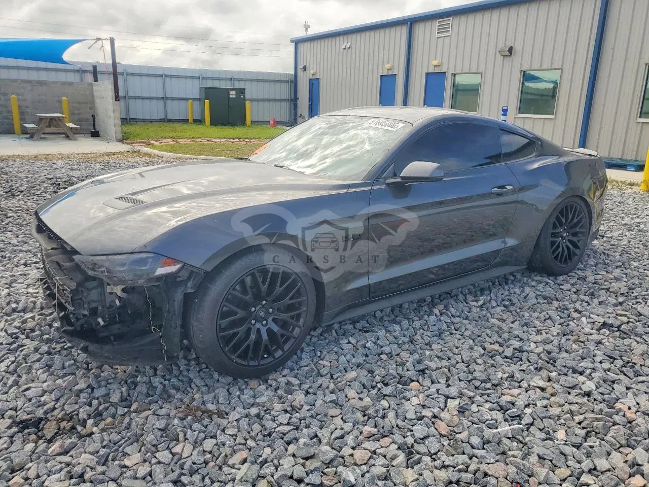 Ford Mustang 5.0L 8 2019