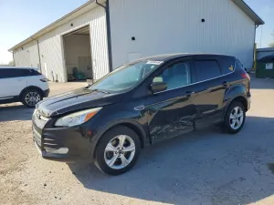 Ford Escape 1.6L 4 2014