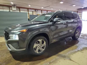 Hyundai Santa Fe 2.5L 4 2023