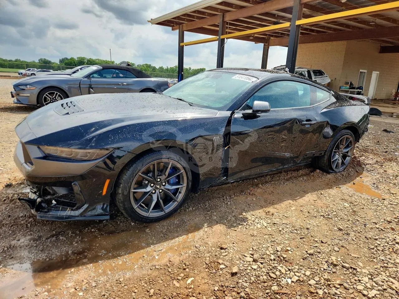 Ford Mustang 5.0L 8 2025