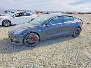 Tesla Model 3 2019