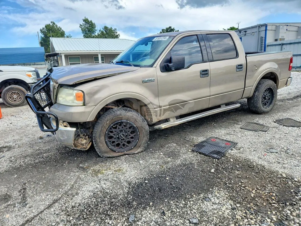Ford F-150 5.4L 8 2004