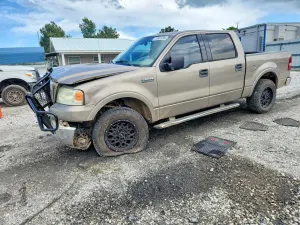 Ford F-150 5.4L 8 2004
