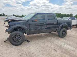 Ford F-150 4.6L 8 2010