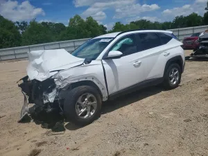 Hyundai Tucson 2.5L 4 2024