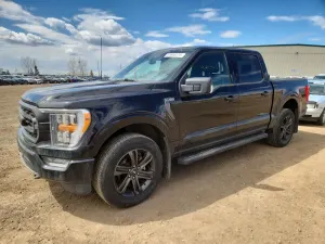 Ford F-150 5.0L 8 2021